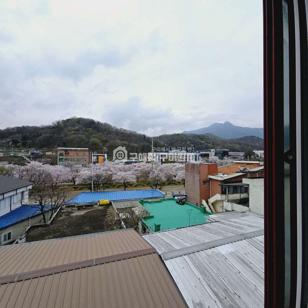 경북 구미시 원평동 구미시 원평동 깔끔한 미니투룸ㅣ주차차단기ㅣ금리단길ㅣ구미역ㅣ도서관ㅣ시장 인근 월세 매물번호 11248 사진 1