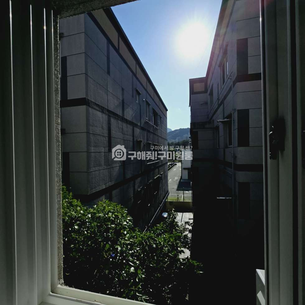 경북 구미시 광평동 구미 광평동 리모델링 미니투룸ㅣ홈플러스ㅣ순천향병원ㅣ공단이동용이ㅣ스타벅스 월세 매물번호 12789 사진 11